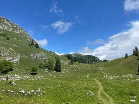 Paysage